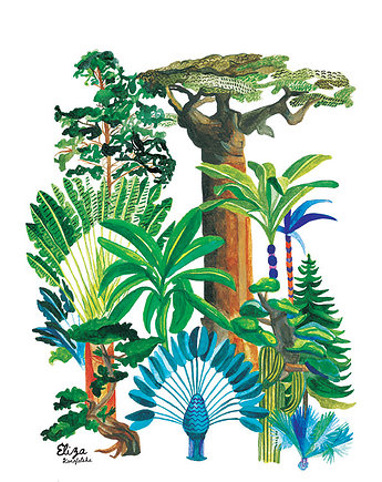 Plakat Drzewa z Całego Świata, Eliza Konofalska