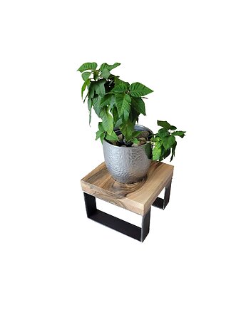 Kwietnik, Walnut Wood and Steel decor