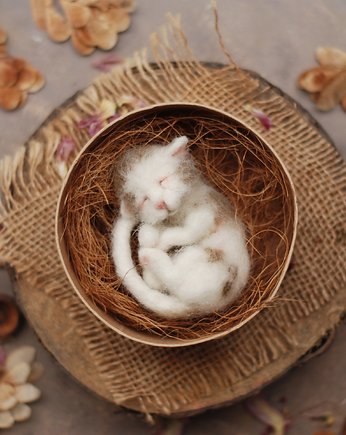 Śpiący Kociak  w pudełku- beż, BoboLobo Handicraft