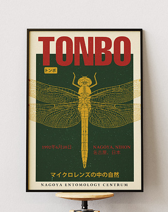 Plakat Tonbo - Japonia - W duchu Zen, DAPIDOKA