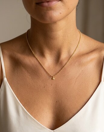 Zawieszka Muszla, Sielava