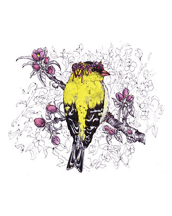 Czyżyk wiosenny- ilustracja- grafika, OSOBY - Prezent dla ukochanej