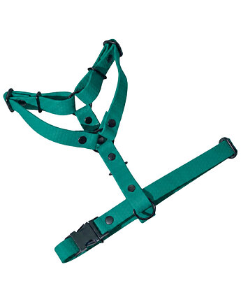 Szelki guard regulowane dla psa wodoodoporne ZIELONE taśma 2cm M, Kolorowe Łapki