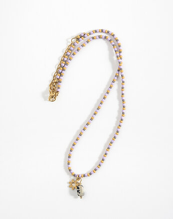 ech studio projektant