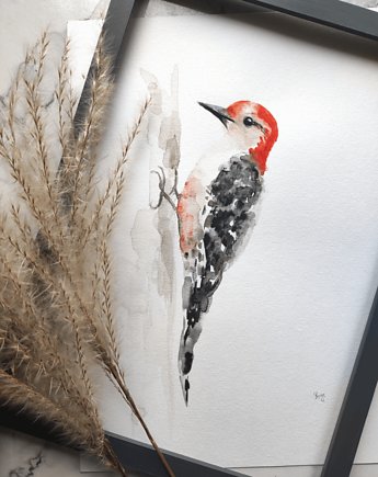 Akwarela dzięcioł, Wiktoria Borys Art