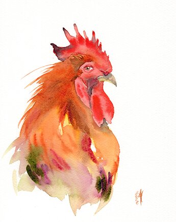 Oryginalna akwarela. Kogut, alquadro