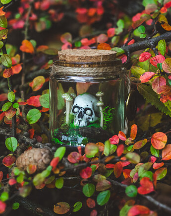 Słoik z Czaszką i Grzybkami Świecący, Nest of Bones