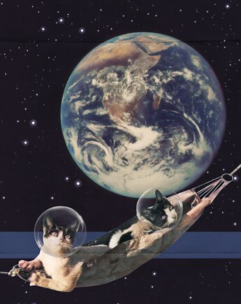 Plakat Space Cats (kolaż), Agnieszka Osiecka RYSUJĘ BO SIĘ NUDZĘ