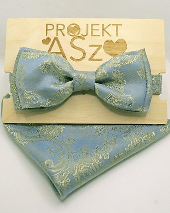 Muszka błękitno-złota, Projekt ASz