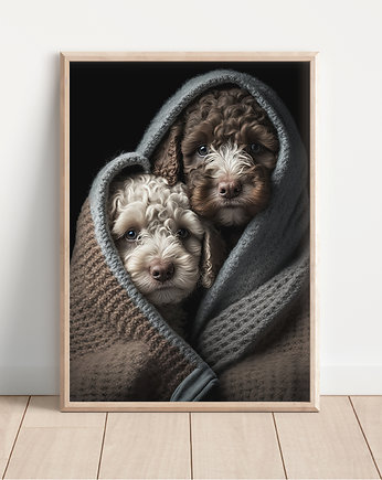 Plakat lagotto romagnolo, Whatever the timezone