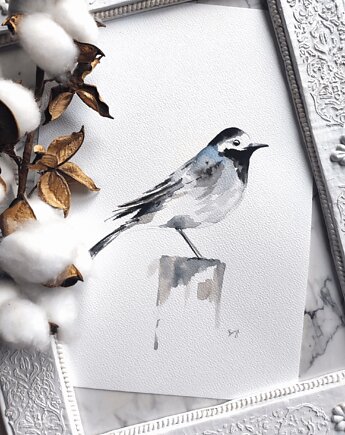 Akwarela pliszka, Wiktoria Borys Art