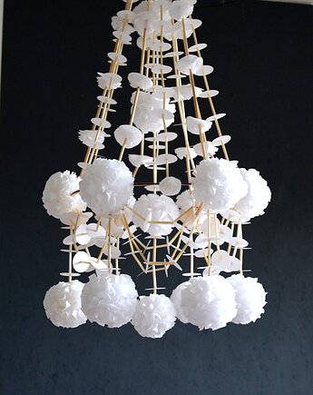 Pająk ludowy, Kolekcja19