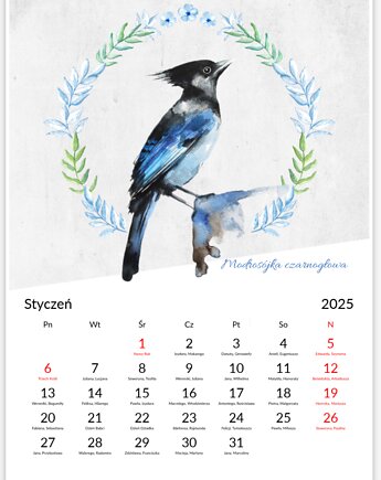 Kalendarz z ptakami 2025, Wiktoria Borys Art