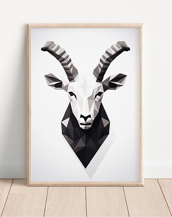 Plakat kozica, Whatever the timezone