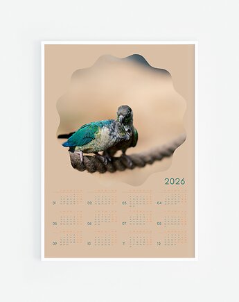 2026  Kalendarz VIII, Katarzyna Kątna