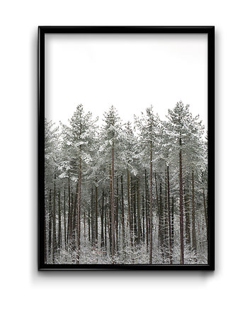 Plakat Las w Śniegu, Bury Lis