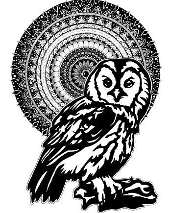Mandala nr 29, Puszczyk, reprodukcje, anna marczewska