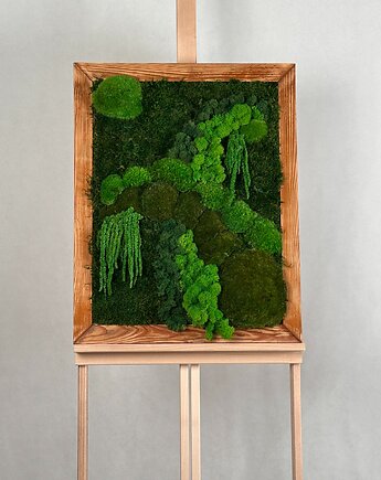 Obraz Leśny Zakątek, mech, chrobotek i amarantus, Art Light Studio