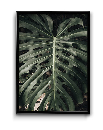 Plakat Botanic #6, Bury Lis