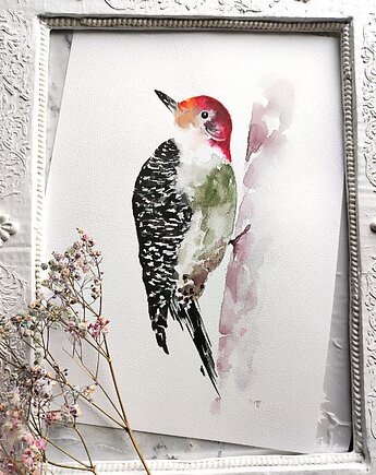Akwarela dzięcioł, Wiktoria Borys Art