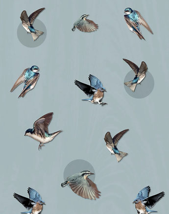 Plakat, kolaż Bluebird, zfragmentow