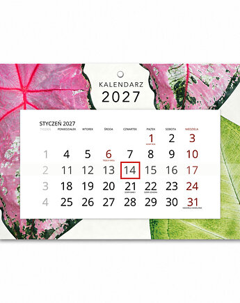 Kalendarz Ścienny Pojedynczy 2027 Botanical A4, Planerum