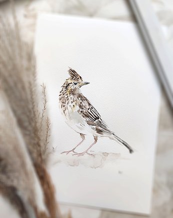 Akwarela skowronek, Wiktoria Borys Art