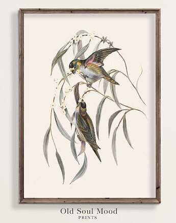 Plakat Ptaszki Vintage, Old Soul Mood Prints