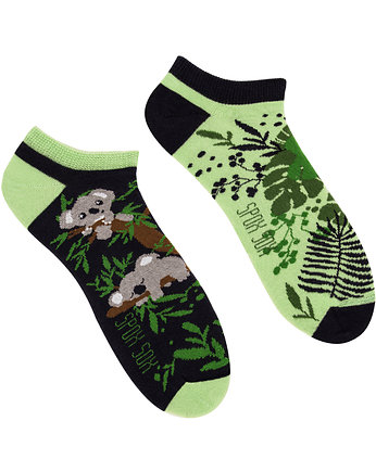 Stopki Koala, Spox Sox