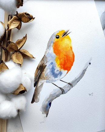 Akwarela rudzik, Wiktoria Borys Art