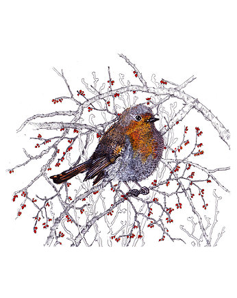 Rudzik- grafika- ilustracja, BOSKE