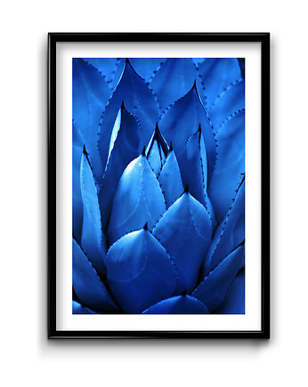 Plakat Navy Blue No.2, Bury Lis
