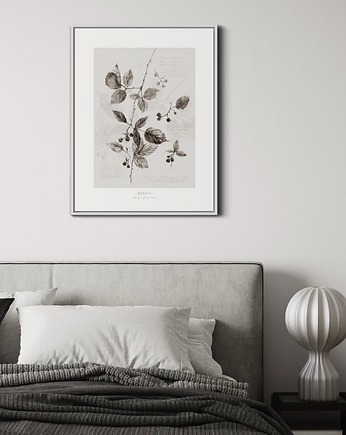Jeżyna, print, Margo Hupert