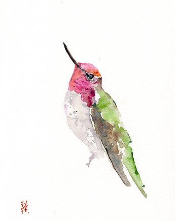 Oryginalna akwarela. Koliber, alquadro