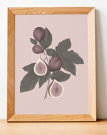 Plakat figi, Agnieszka Baran Ilustracje