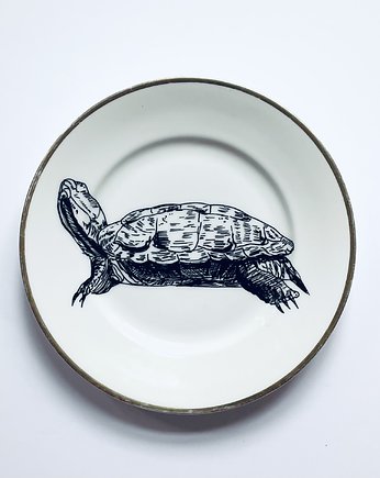Żółw, arent plates