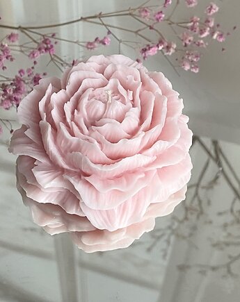 Świeca sojowa dekoracyjna "Peony Queen" 75x35mm różowa, Coccola JEWELLERY
