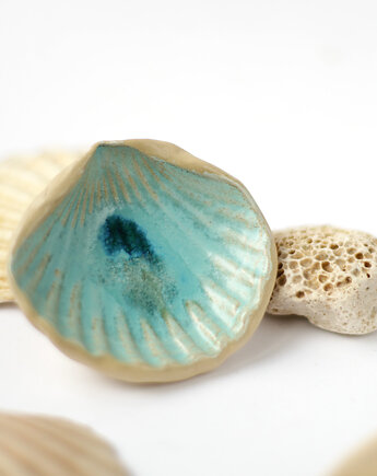 Muszla * laguna, katha