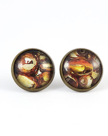 Kolczyki - Brązowe 1 - wkrętki, sztyfty, yenoo