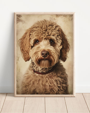 Plakat lagotto romagnolo, Whatever the timezone