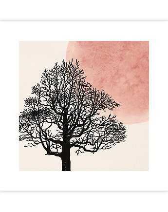 Tree I Plakat, KNOR