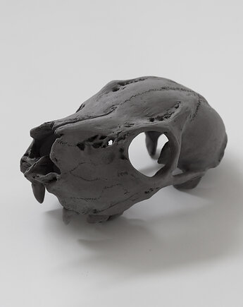 Ceramiczna Czaszka, ar studio