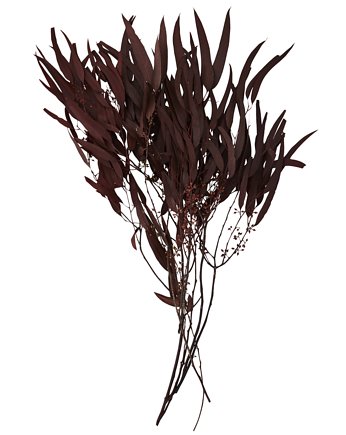 Bukiet 75cm suszone kwiaty i liście eukaliptusa, OSOBY - Prezent dla kolegi