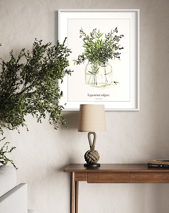 Ligustr / reprodukcja akwareli, Margo Hupert