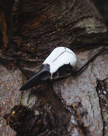 Wisior Czaszka Ptaka - Kruk, Nest of Bones