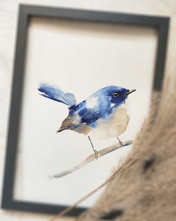 Akwarela muchołówka, Wiktoria Borys Art