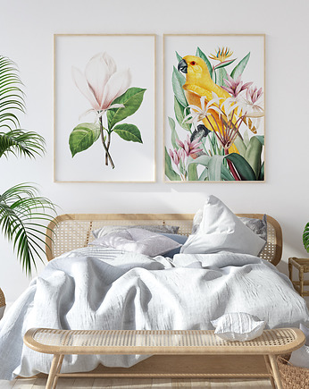 Magnolia i papuga - zestaw plakatów, HOG STUDIO