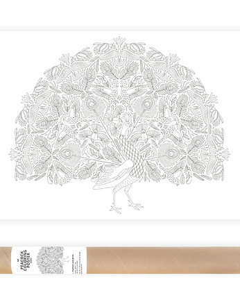 Paw, Ptaki i Pióra - Plakat do Kolorowania B2, Anna Grunduls Design