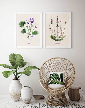 2 ilustracje botaniczne  30x40 cm, OKAZJE - Prezent na 60 urodziny