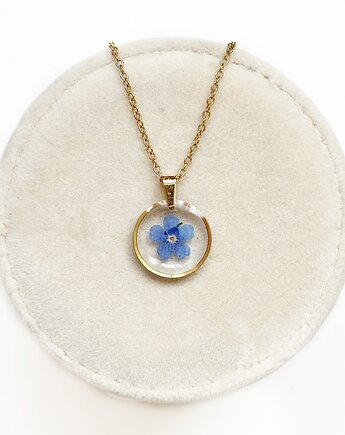 Naszyjnik z niezapominajką, Colie